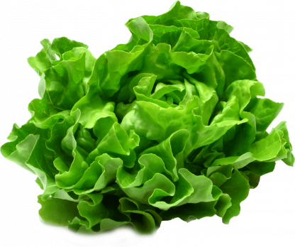 Salade Bio