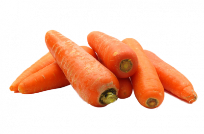 Carottes Bio au 100g